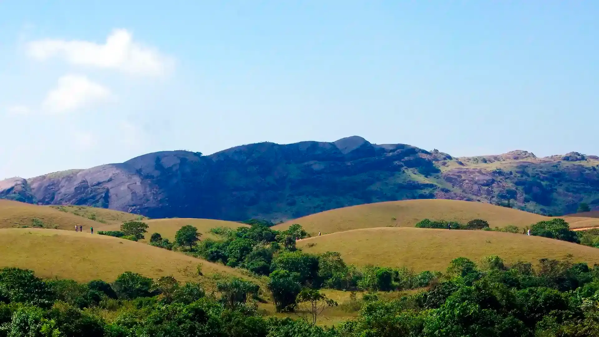 Vagamon